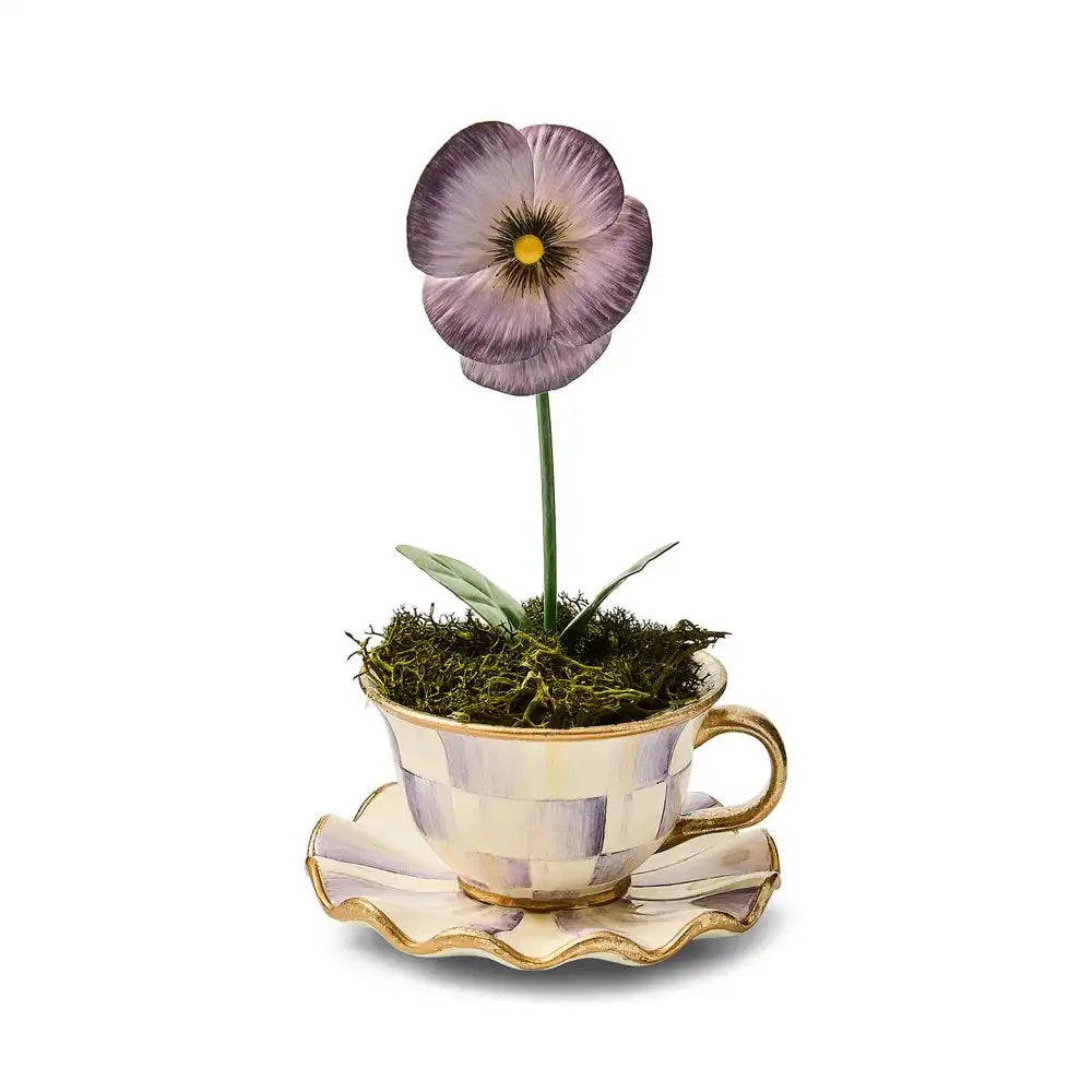 Violet Teacup Pansy Main image