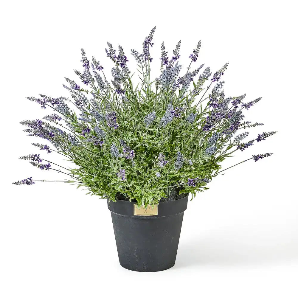 Lavender Urn Filler Main image