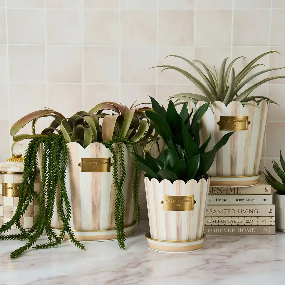 Mocha Stripe Pots & Saucers, Set of 3 Secondary image