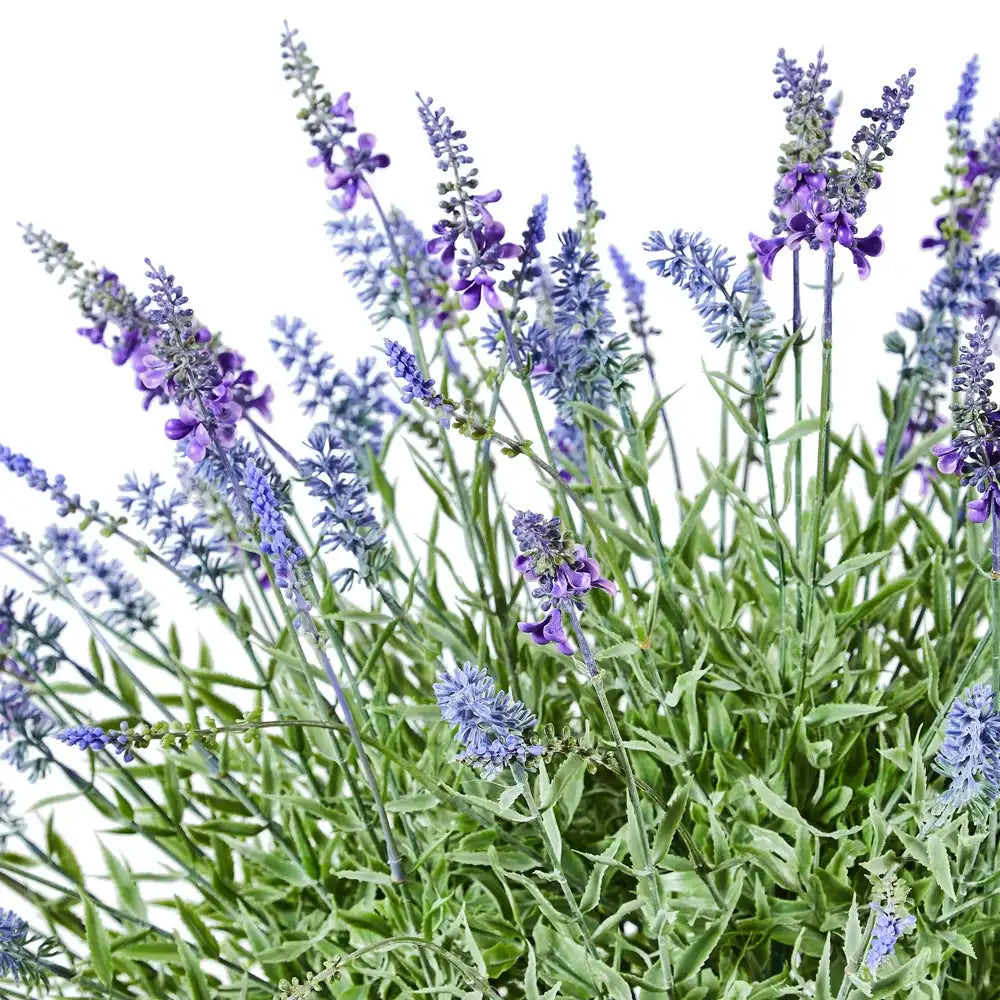 Lavender Urn Filler