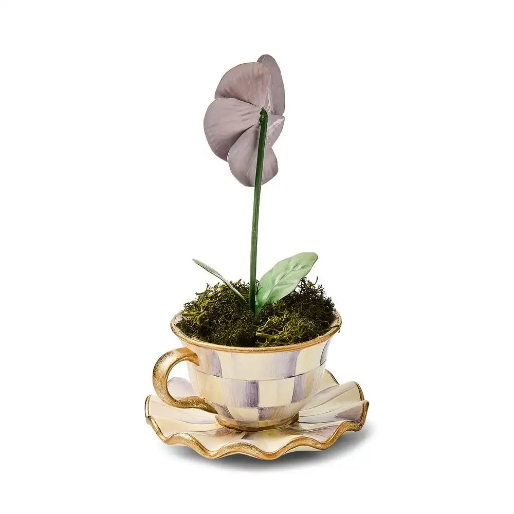 Violet Teacup Pansy