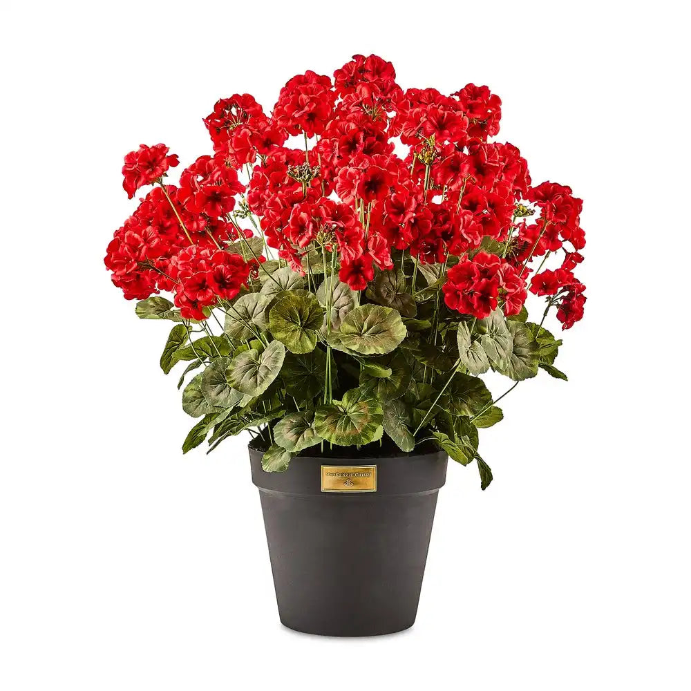 Red Geranium Urn Filler Main image