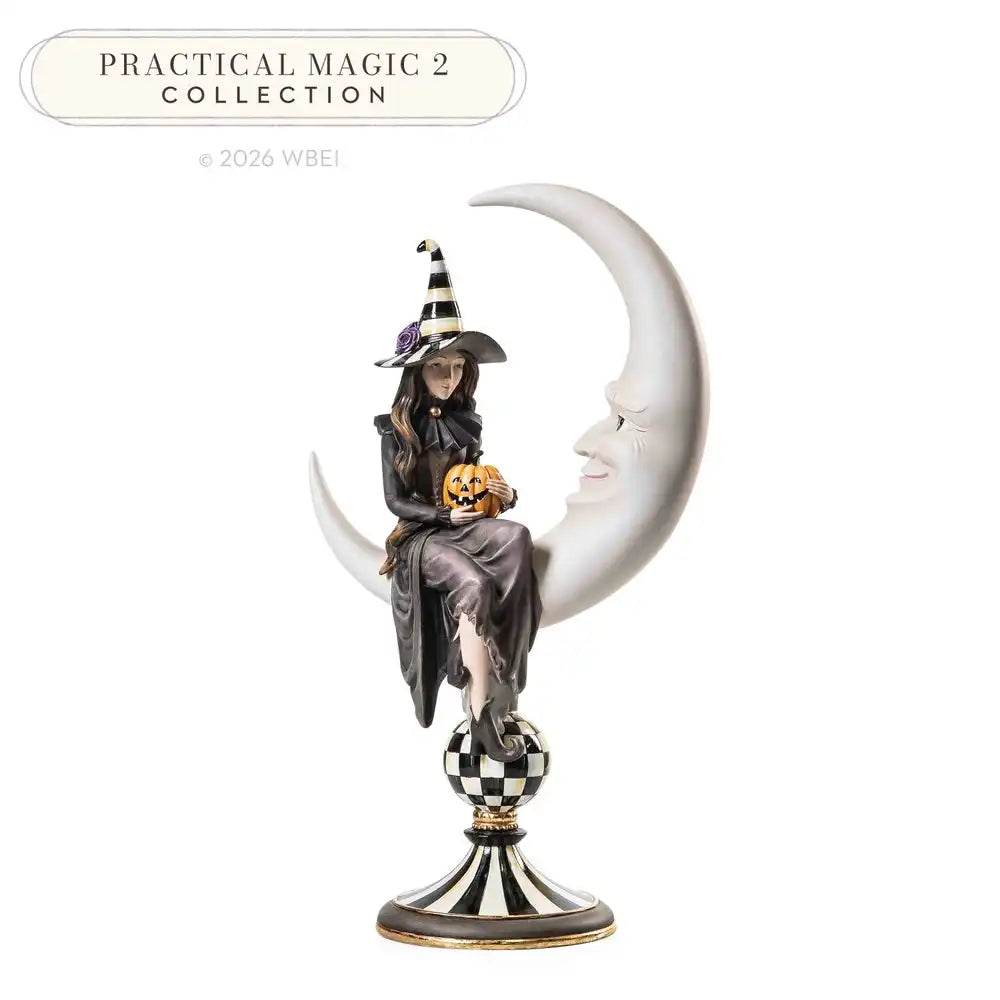 Spellbound Witch & Moon Figure Main image