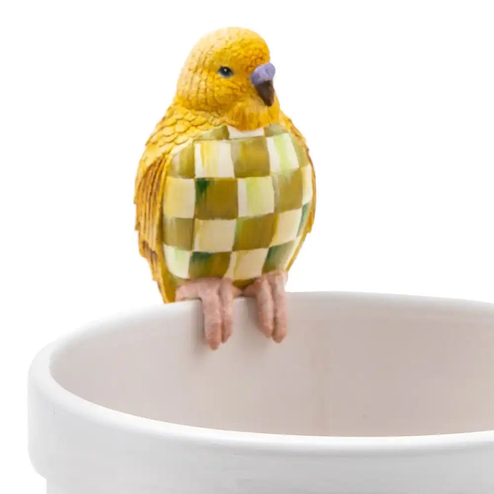 Mocha Check Squirrel Pot Climber
