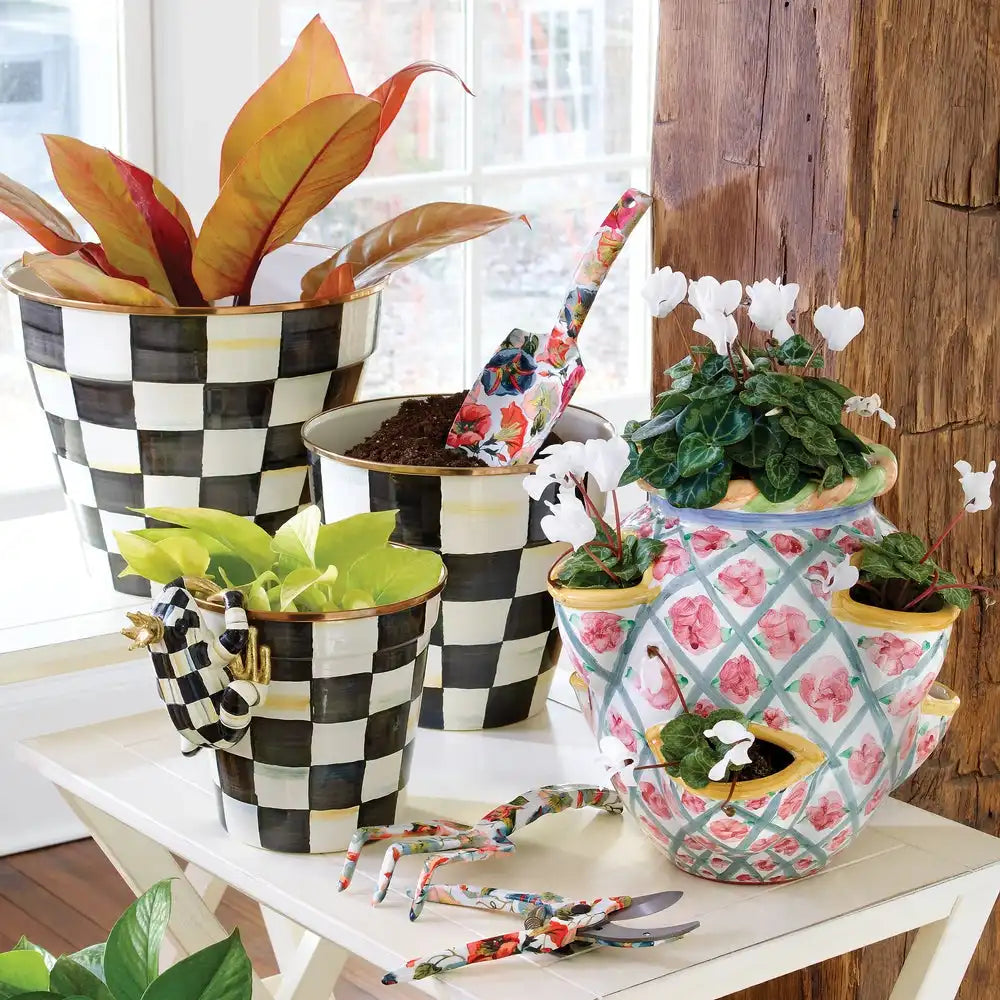 Mocha Check Squirrel Pot Climber