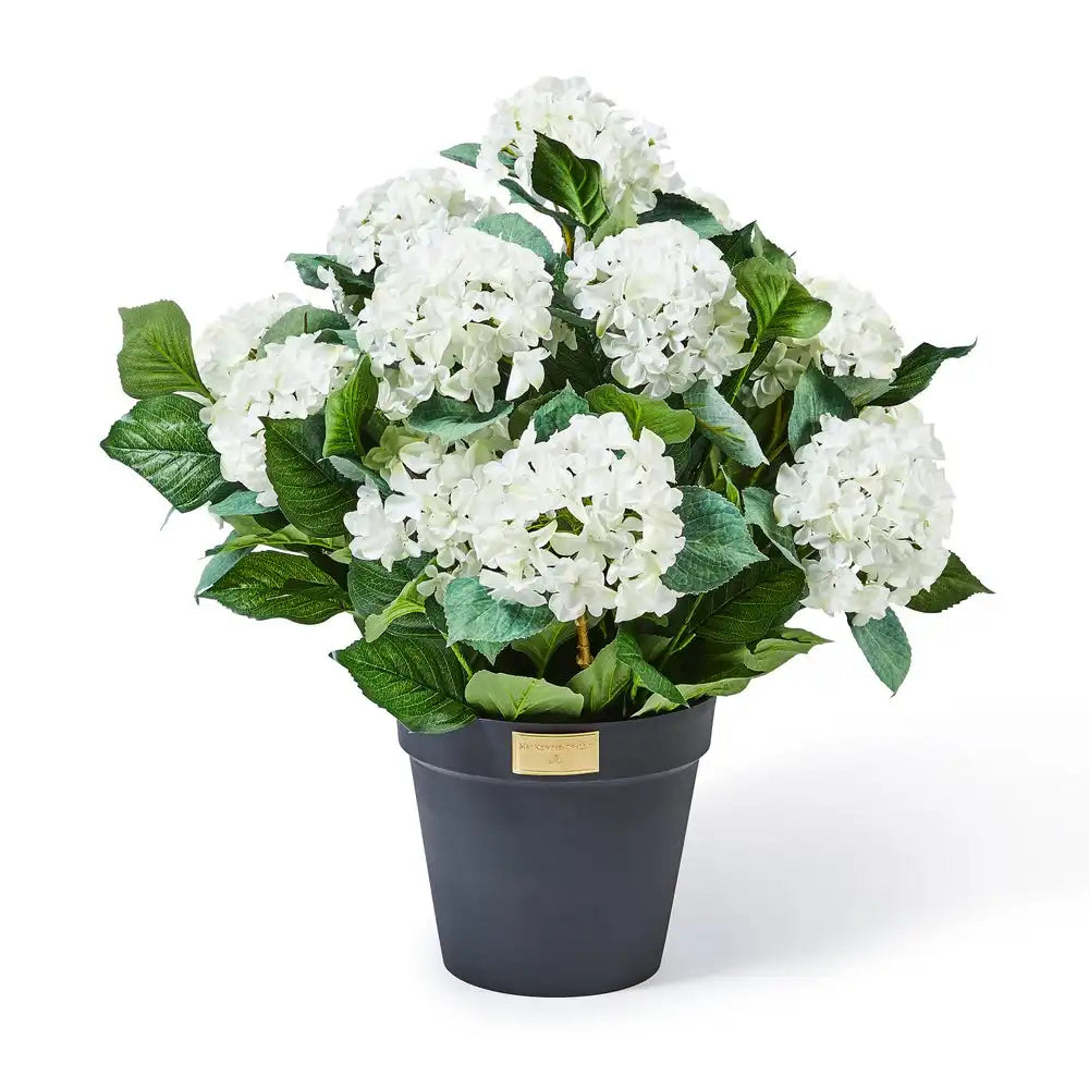White Hydrangea Urn Filler Main image