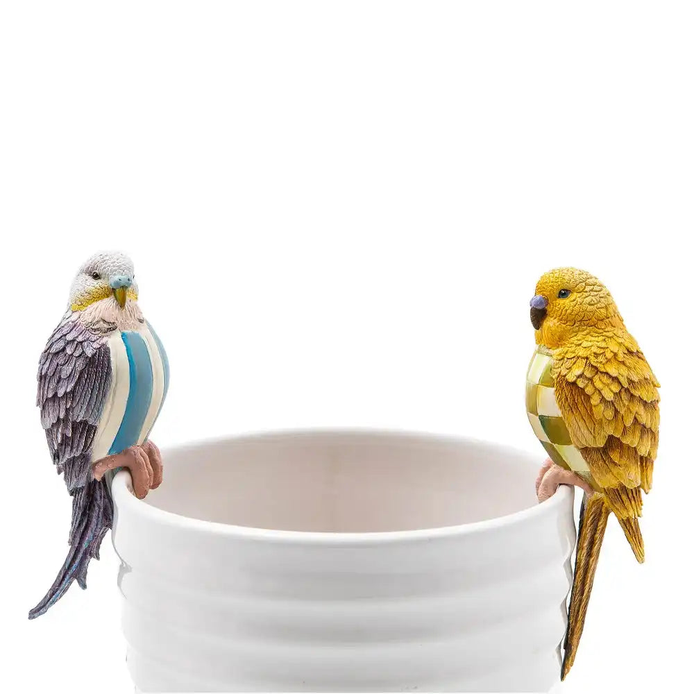 Mocha Check Squirrel Pot Climber