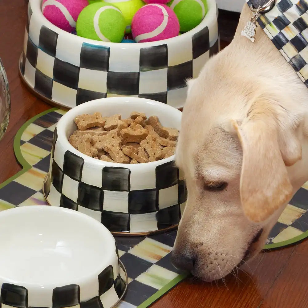 Sky Check Small Pet Dish
