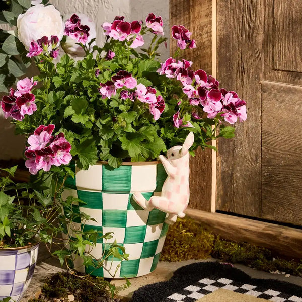 Funny Bunny Pot Climber