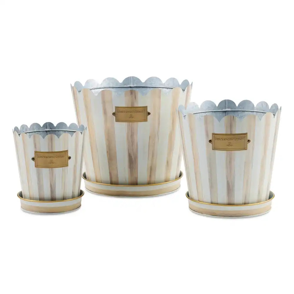 Mocha Stripe Pots & Saucers, Set of 3 Main image