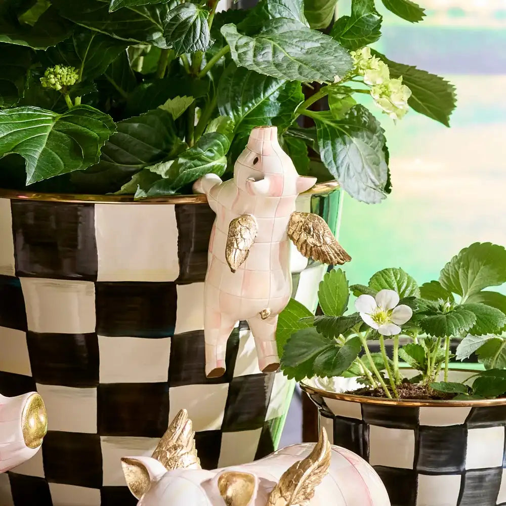 Mocha Check Squirrel Pot Climber