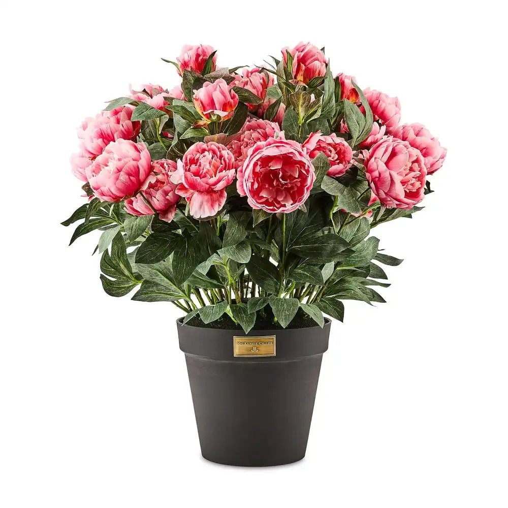 Pink Peony Urn Filler Main image