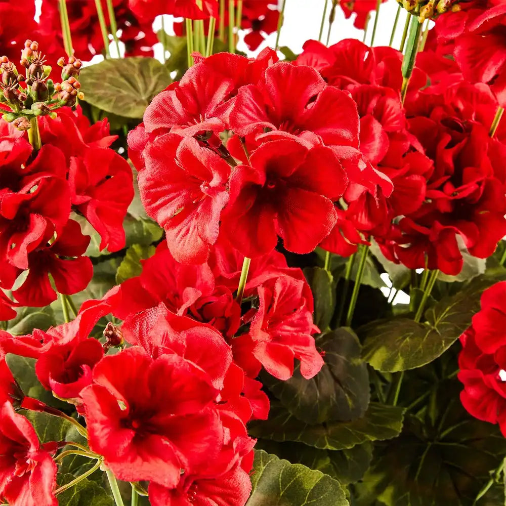 Red Geranium Urn Filler