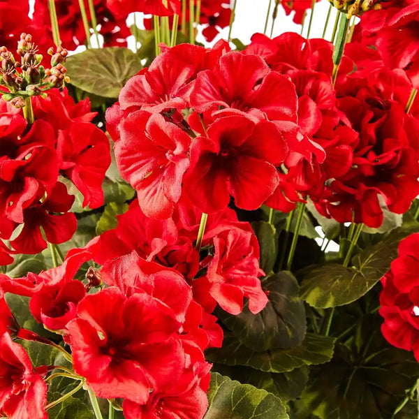 Red Geranium Urn Filler