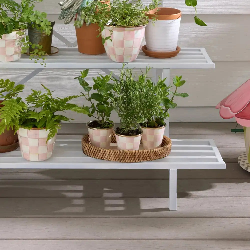 Rosy Check Herb Pots, Set of 3 Secondary image